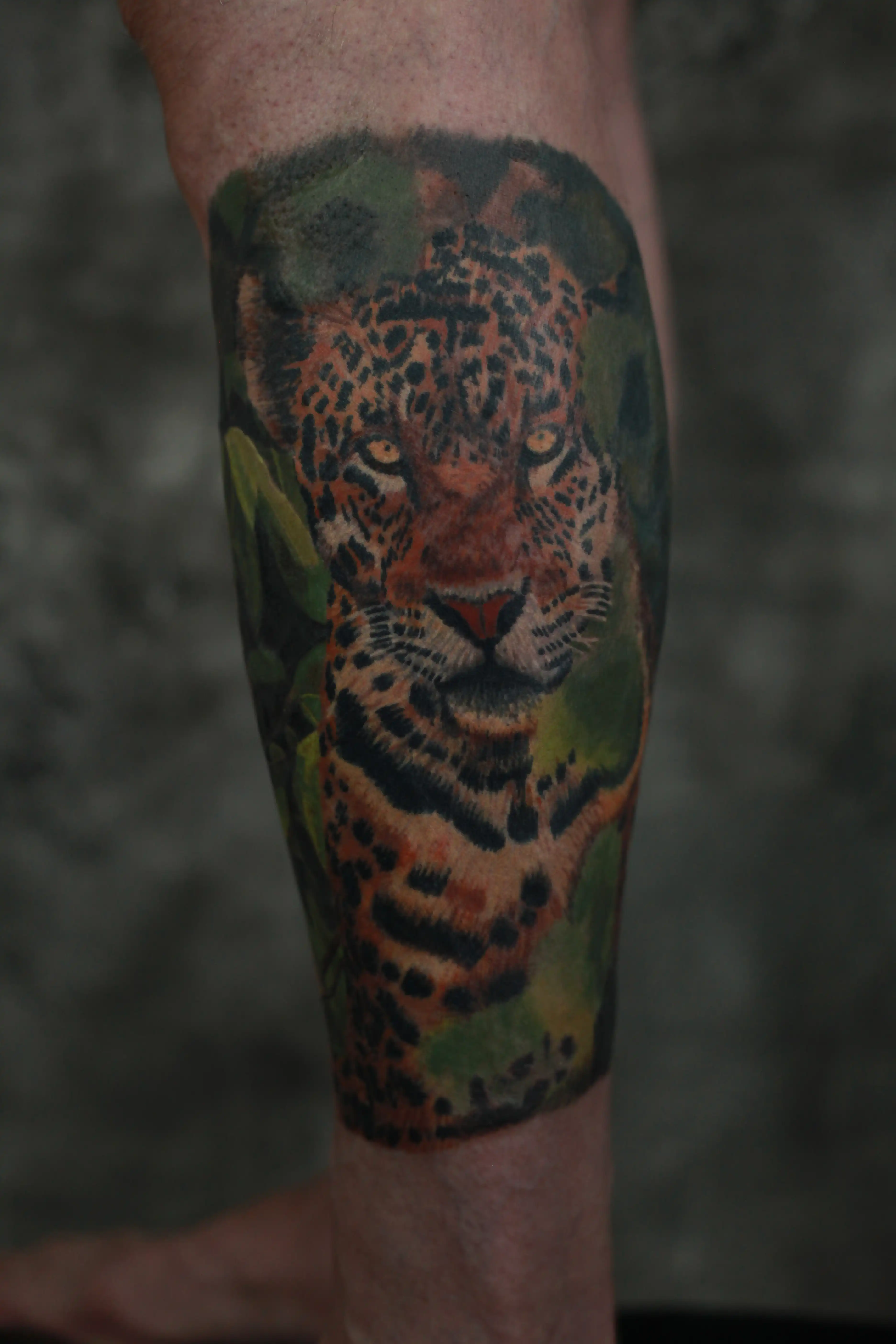 Tetovaža Leopard (zarasla - healed) - Color - Eternal Art Tattoo Studio Loznica